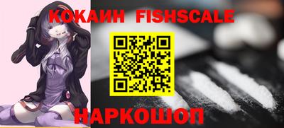 сатива Кингисепп