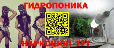 дмт Кинель