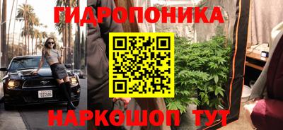 дмт Кинель