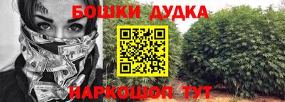 spice Кимры