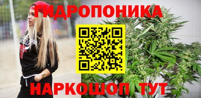 spice Кимры