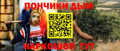 сатива Кингисепп