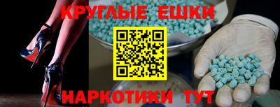 сатива Кингисепп